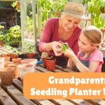 Grandparents Day – Seedling Planter Workshop | Fun & Ageless Seniors Month